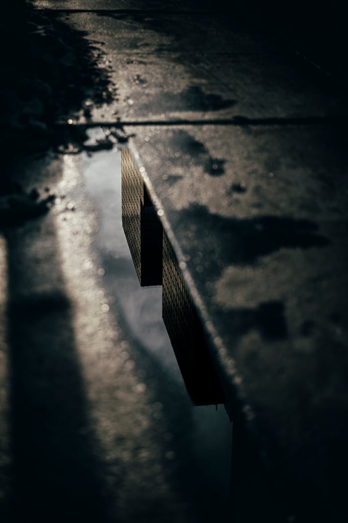 services-01